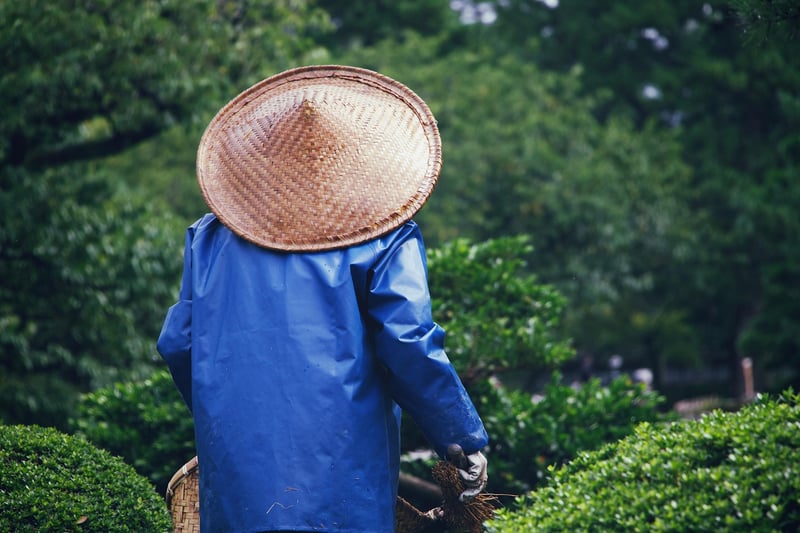 Traditional Tea Ceremony